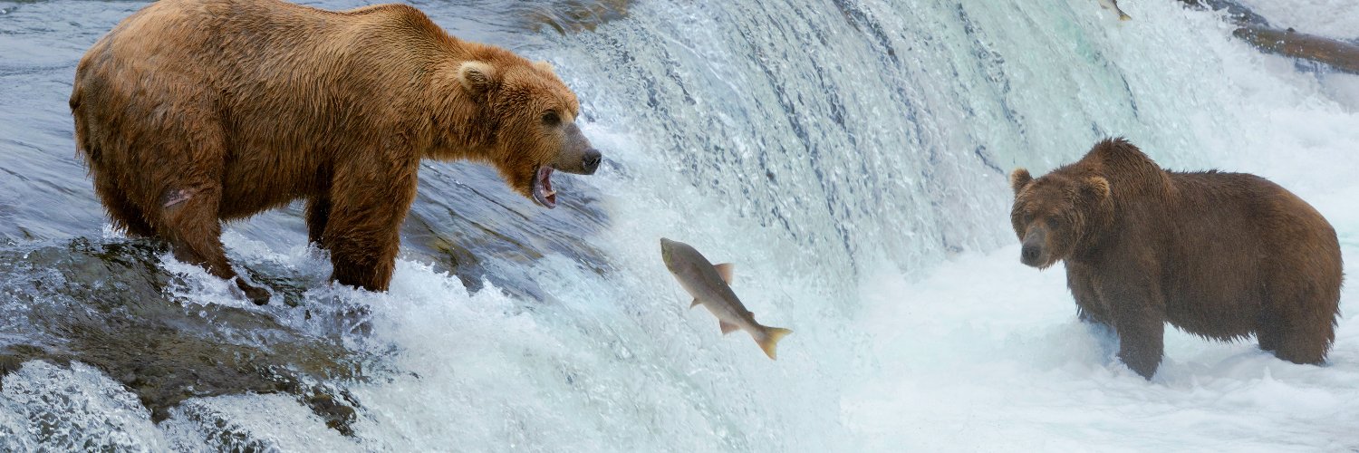 Going_Upstream banner