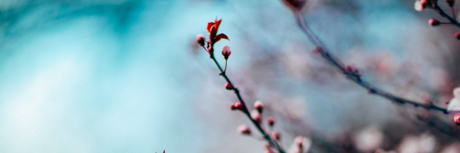 LEA banner