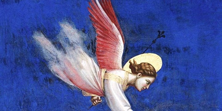 Paola Ferrero banner