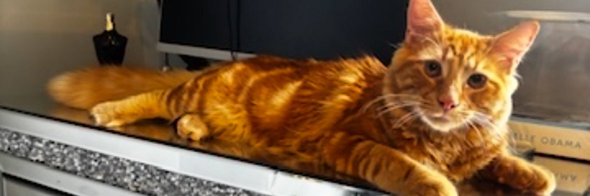 letsberealfoo's profile banner image