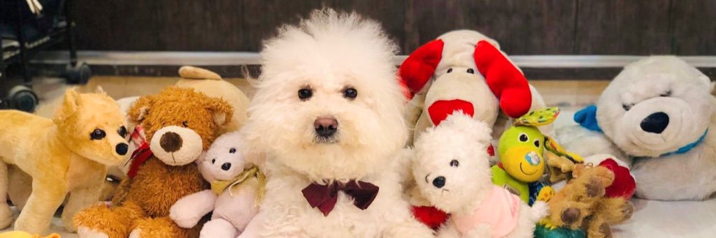 Biryaniimonster's profile banner image