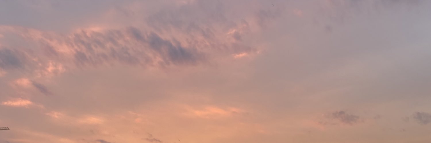 fdrnchnk's profile banner image