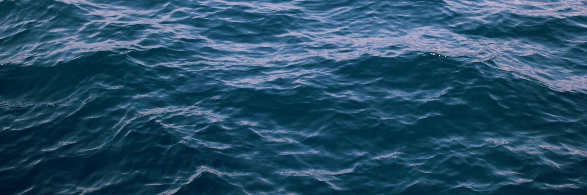 Laura Secorun banner