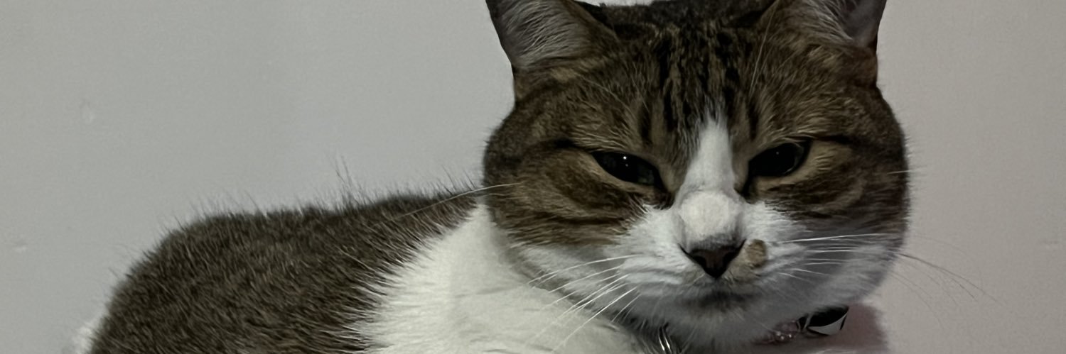 mrvp7u7's profile banner image