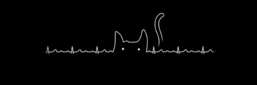 jihoon_nice's profile banner image