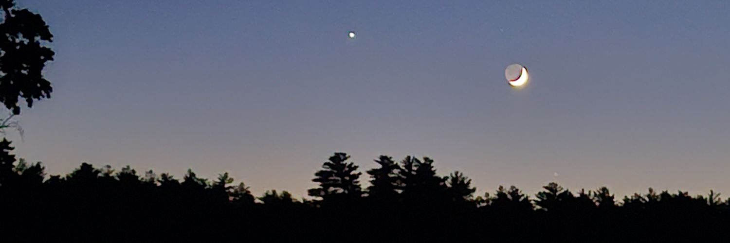 MagicalBunLuna's profile banner image