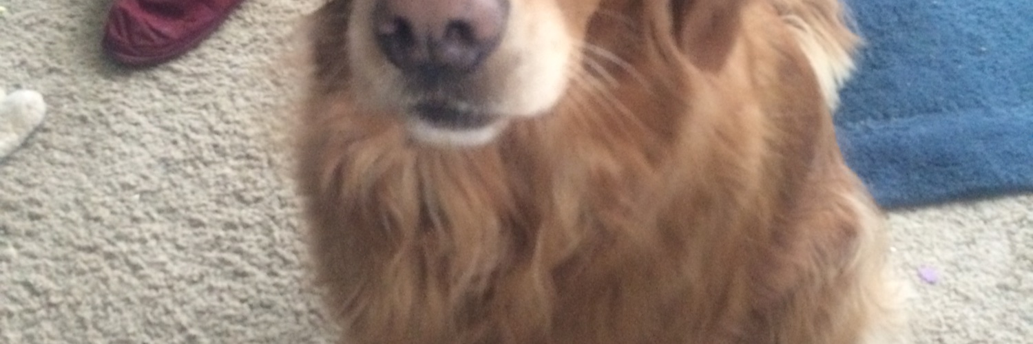 Karen M. Neitge banner