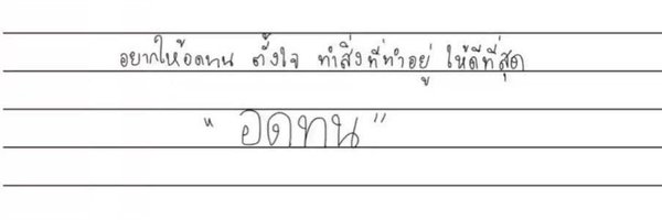 AngryFox_ Profile Banner