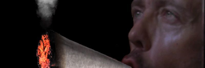 𝔪𝔯 𝔡𝔦𝔞𝔯𝔯𝔥𝔢𝔞 banner