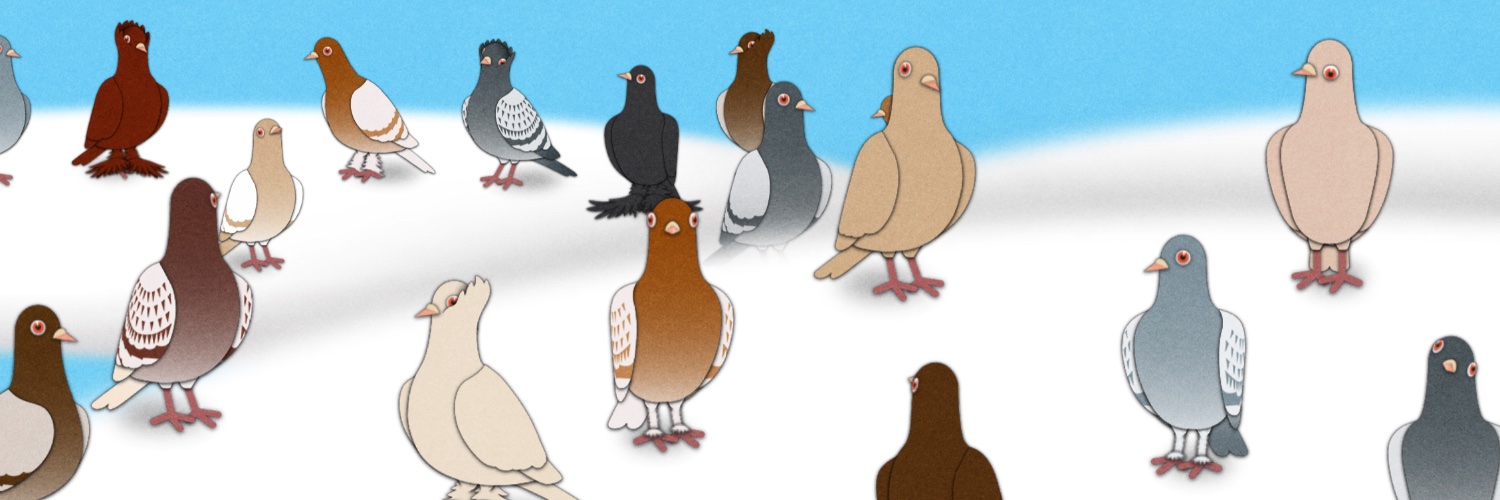 Apollo/Erin🍂 banner