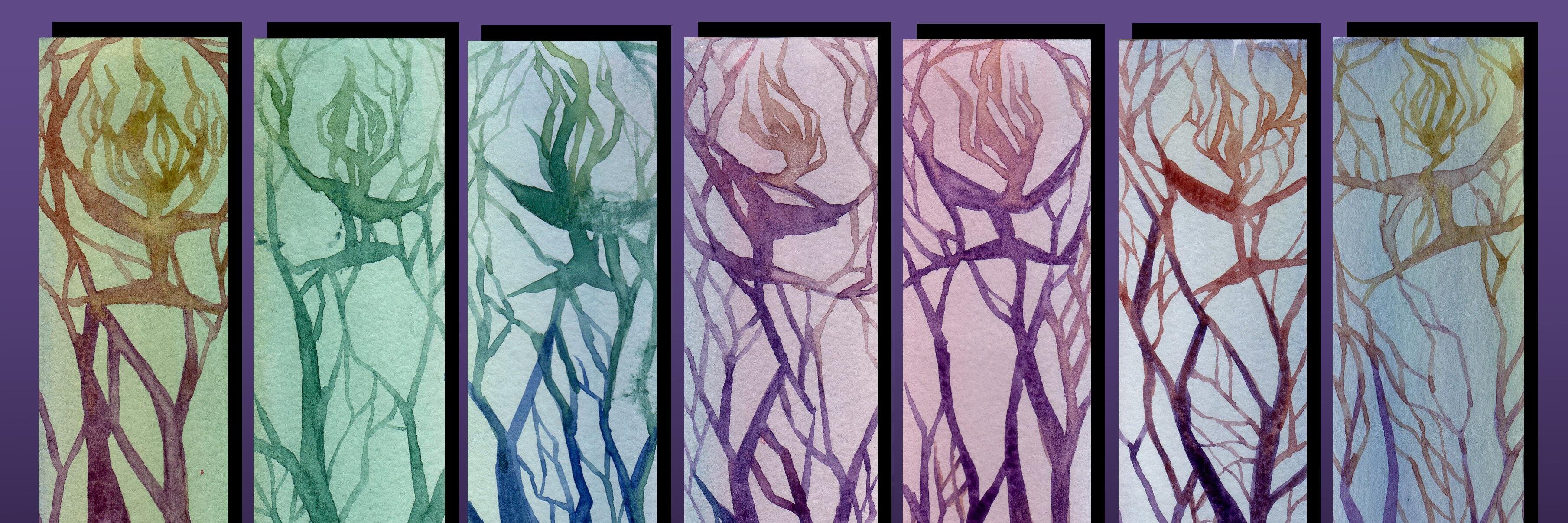 sarahnapoline's profile banner image