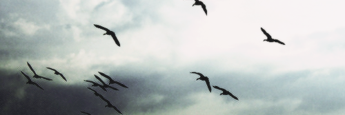 aamGaby's profile banner image
