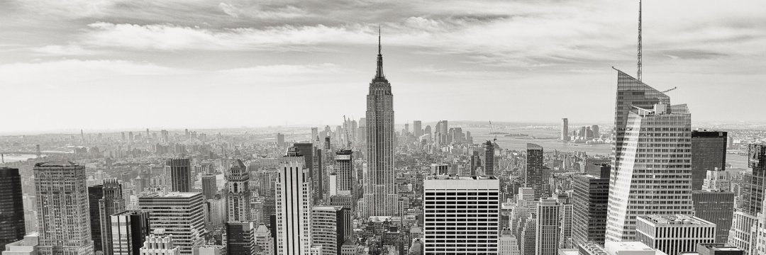 Harikrishnan T banner