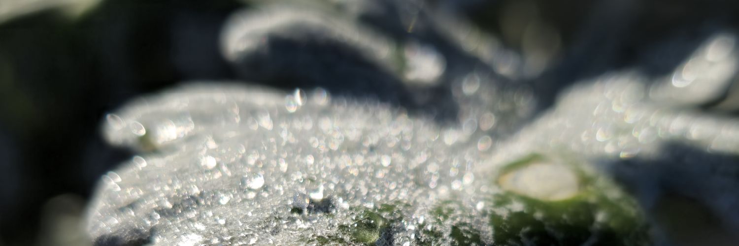 OpDwarff's profile banner image