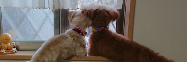 chamiefon Profile Banner