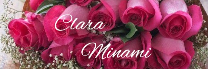 minamiclara's profile banner image