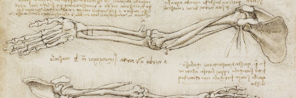 Valentina Emperiale banner