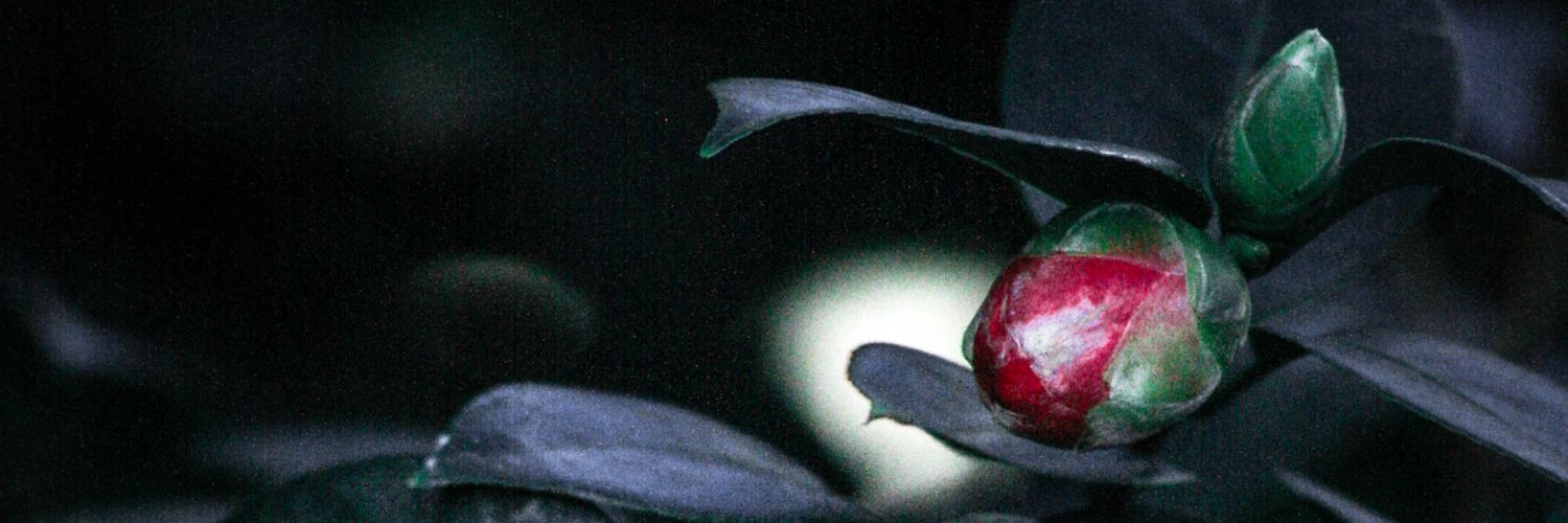 timewhoretex's profile banner image