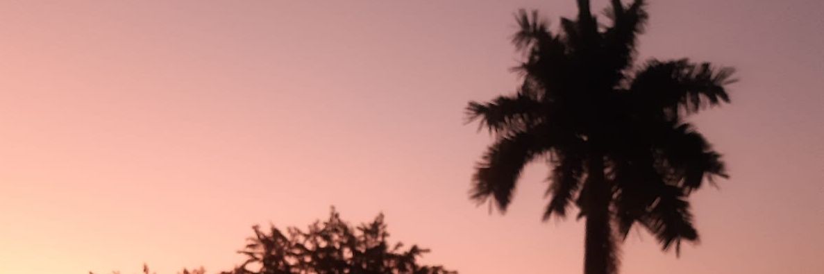 Normaerodriguez's profile banner image