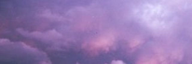 cleo banner