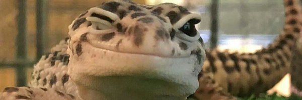 OOZOO_MONSTER Profile Banner