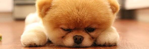 Could_Read's profile banner image
