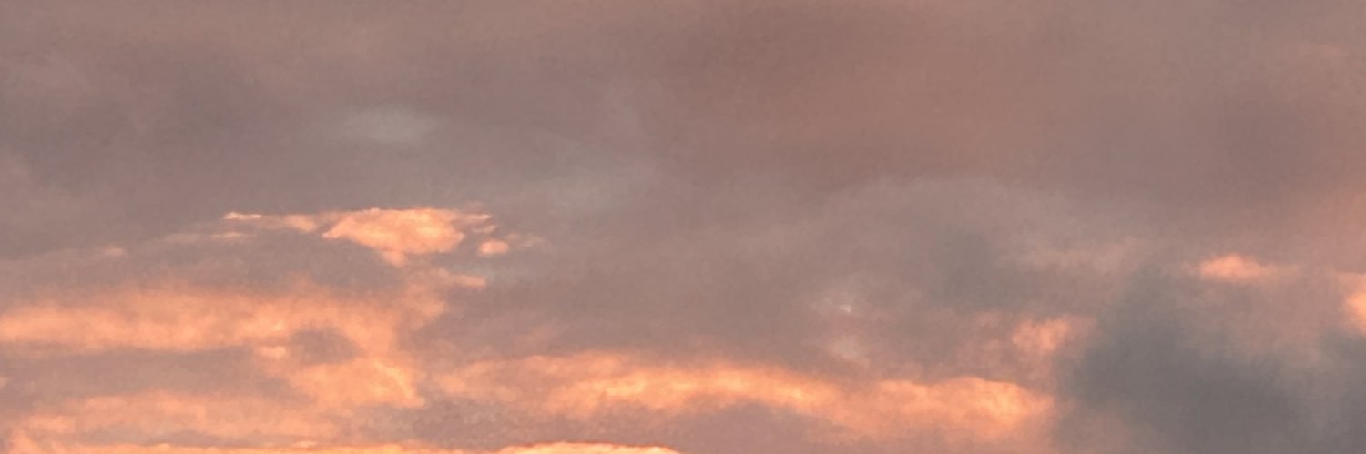 kaaylaani's profile banner image