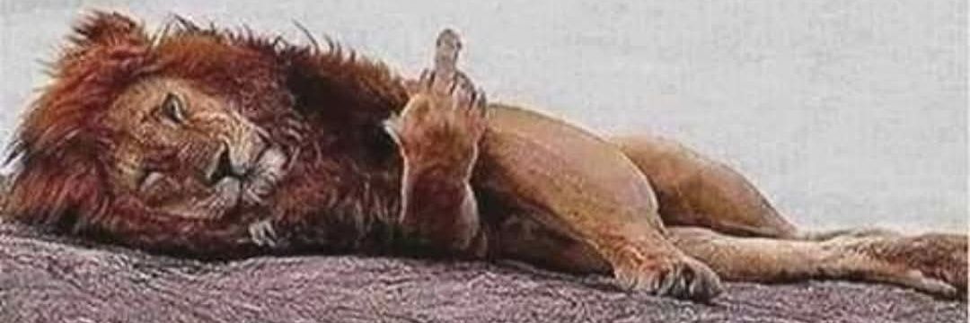 Guardia Cipriano De Adeslas De Toda La Vida.- banner