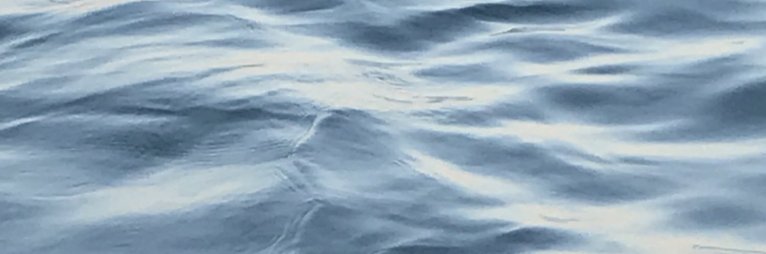 martasurroca's profile banner image