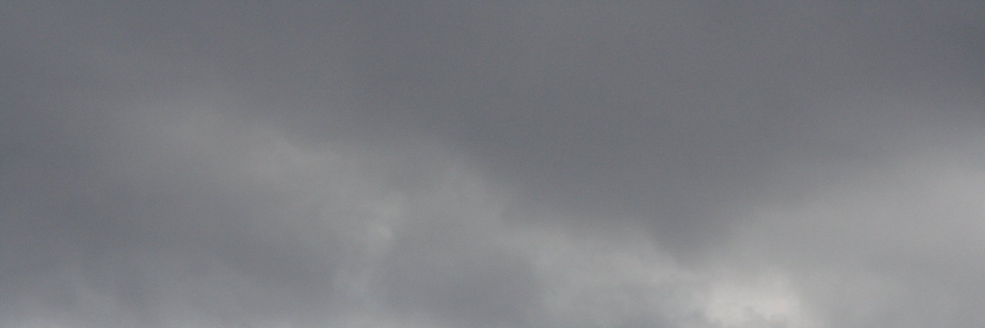 Lola Vavoom banner