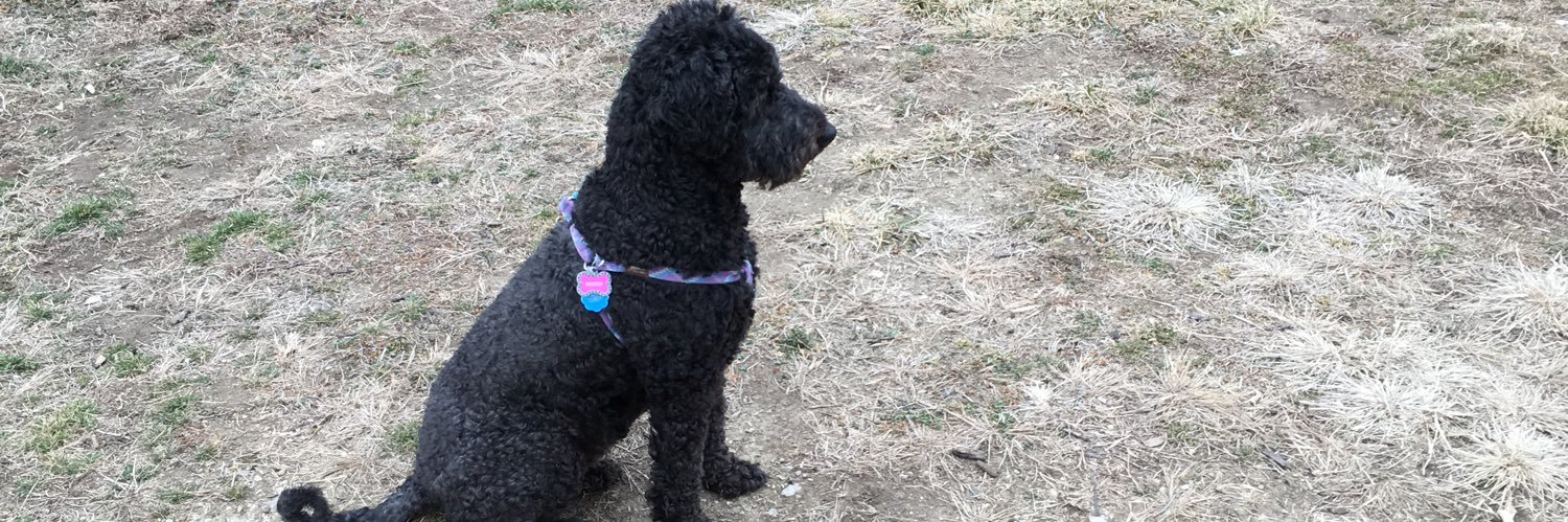 Found_Molly's profile banner image