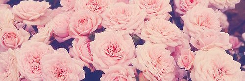 Luxury_Cococure's profile banner image