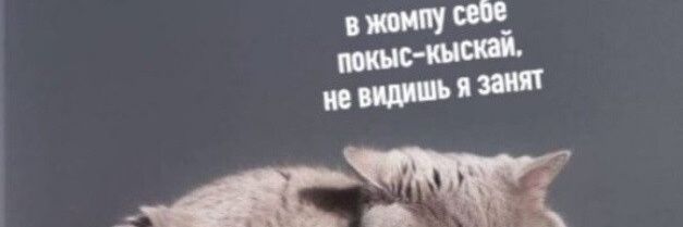 edelbb3's profile banner image