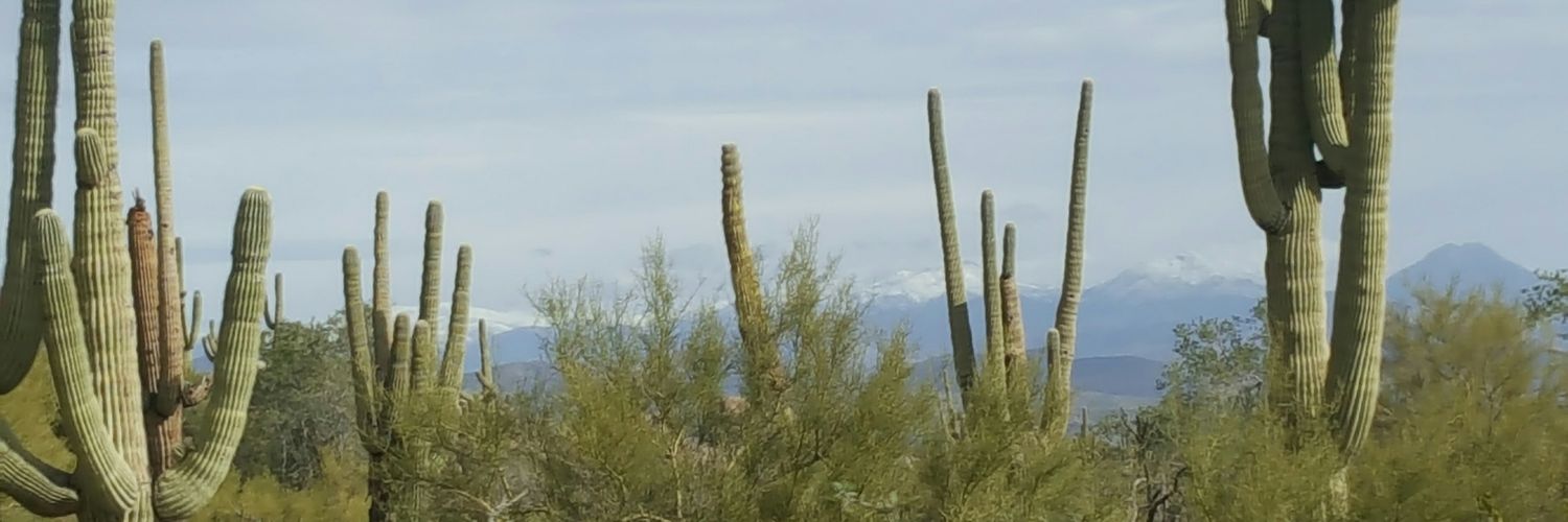 TallScott's profile banner image