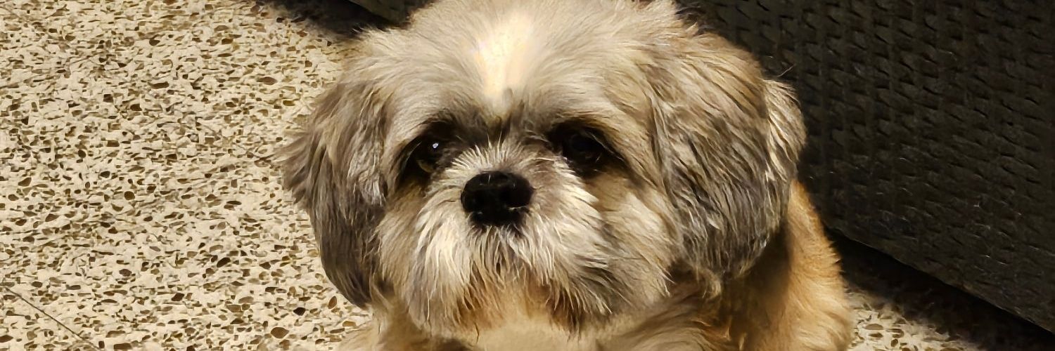chucky0812's profile banner image
