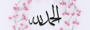 ام محمد banner