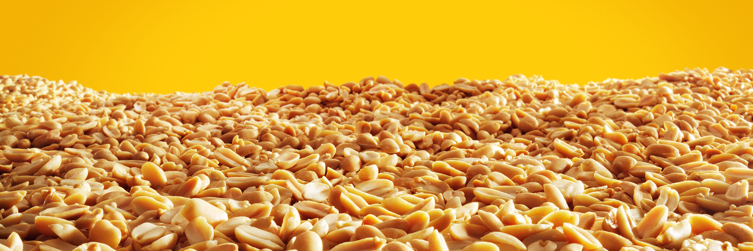 mmsyellow's profile banner image