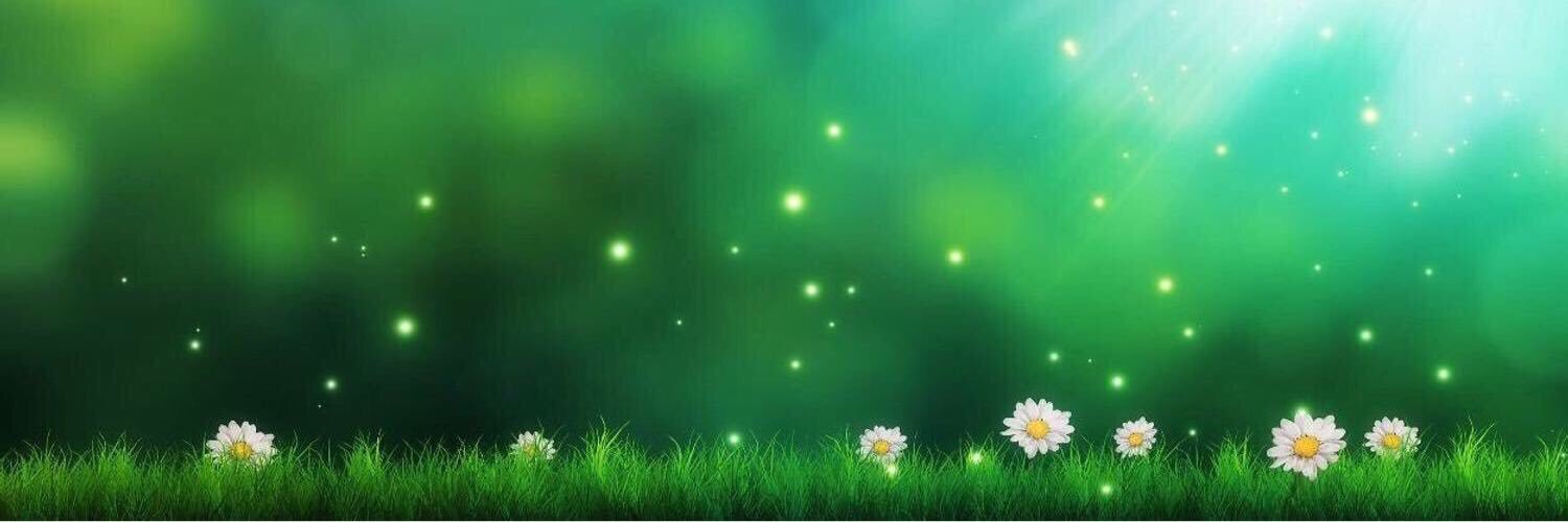 ‏﮼الحجازية.. ـ✿❁࿐❁✿ـ banner