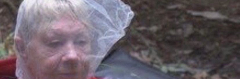 jesskulx's profile banner image