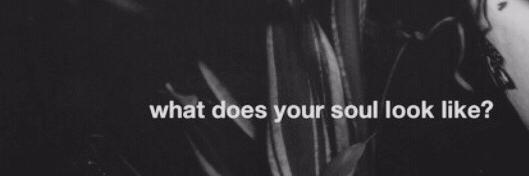 biebermytoaster's profile banner image