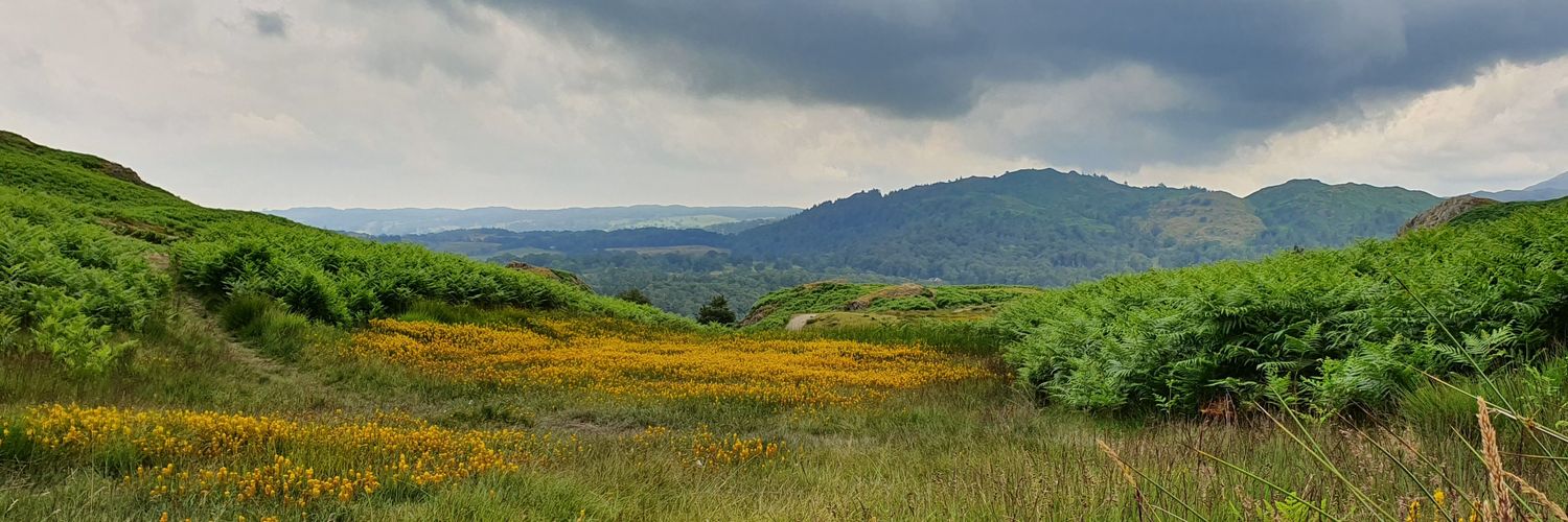 CoteHowWeddings's profile banner image