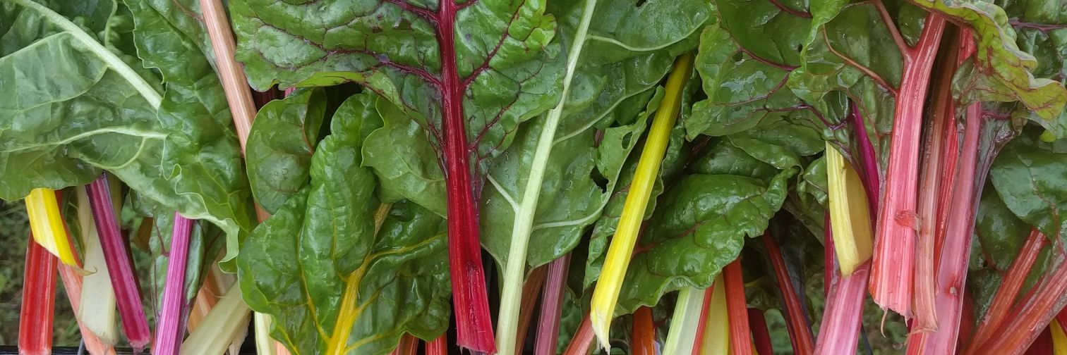 Justin Leavitt banner