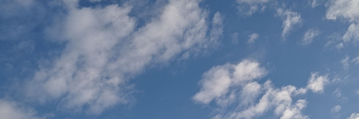 coldfish0221's profile banner image
