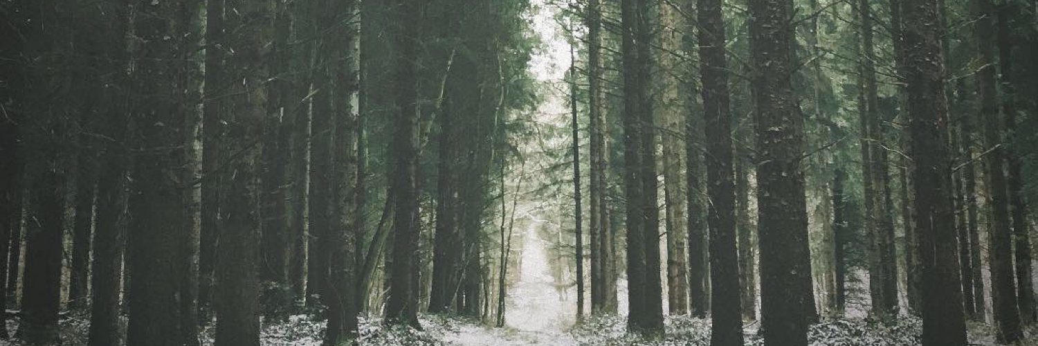 Tomatiz's profile banner image