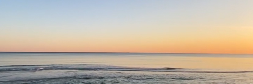 Madison_Francis's profile banner image