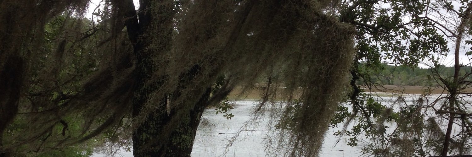amusingmycat's profile banner image