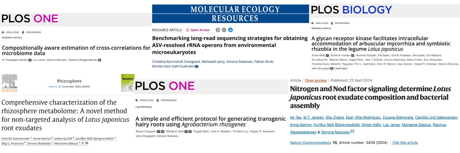 Simona Radutoiu banner