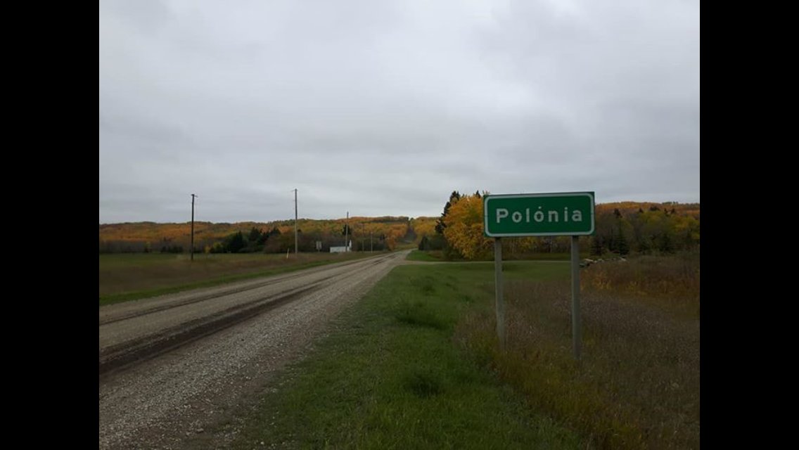 PolishCheez's profile banner image