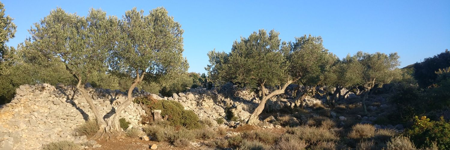 Simon Podnar ♻️ banner