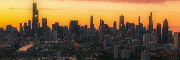 El Gallo desvelado!! banner